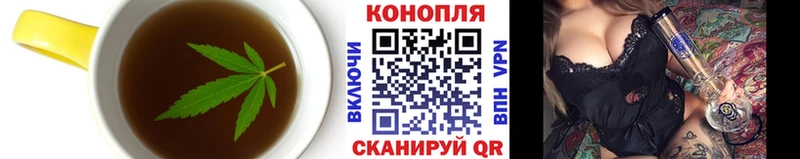 как найти   Онега  Еда ТГК конопля 