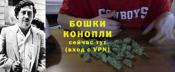 2c-b Белокуриха