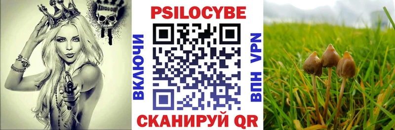 Псилоцибиновые грибы Psilocybine cubensis где купить Онега
